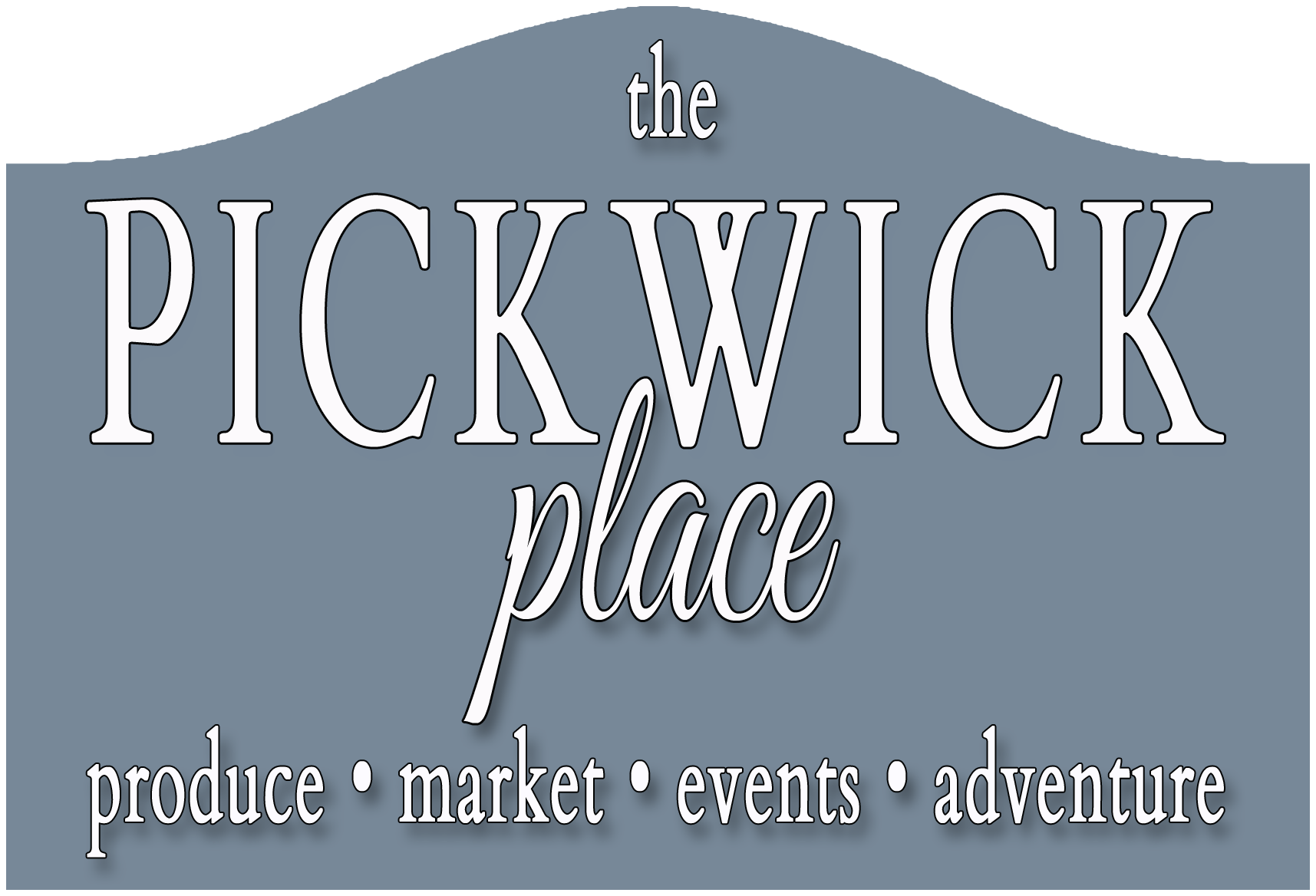 40524 – Les tournesols – Sunflowers – Les Brick à Pickwick