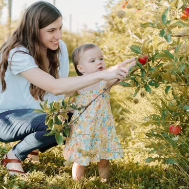Apple Picking